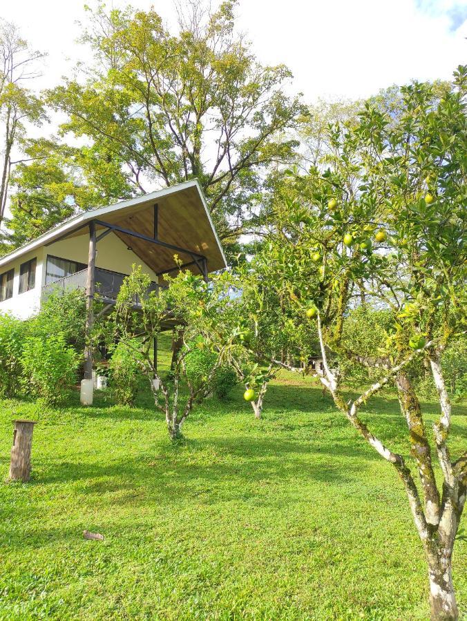 Villa Hacienda Mil Bellezas Quepos Camera foto