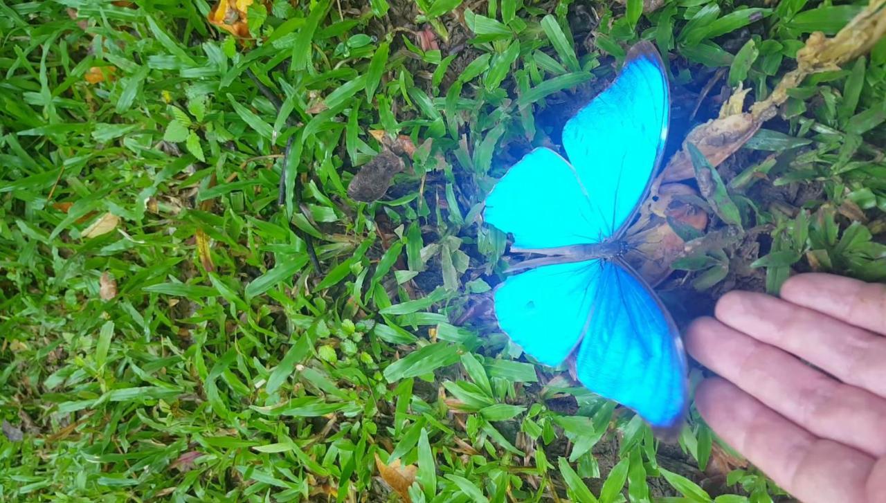Villa Hacienda Mil Bellezas Quepos Esterno foto